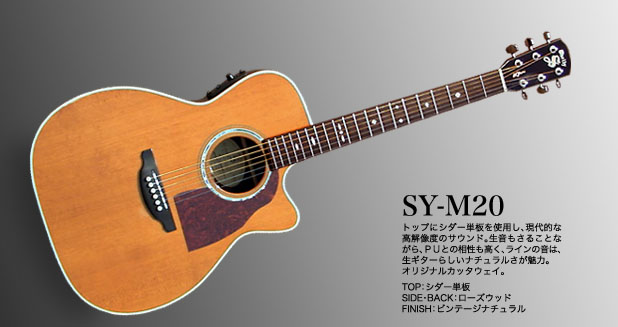 SY-M20